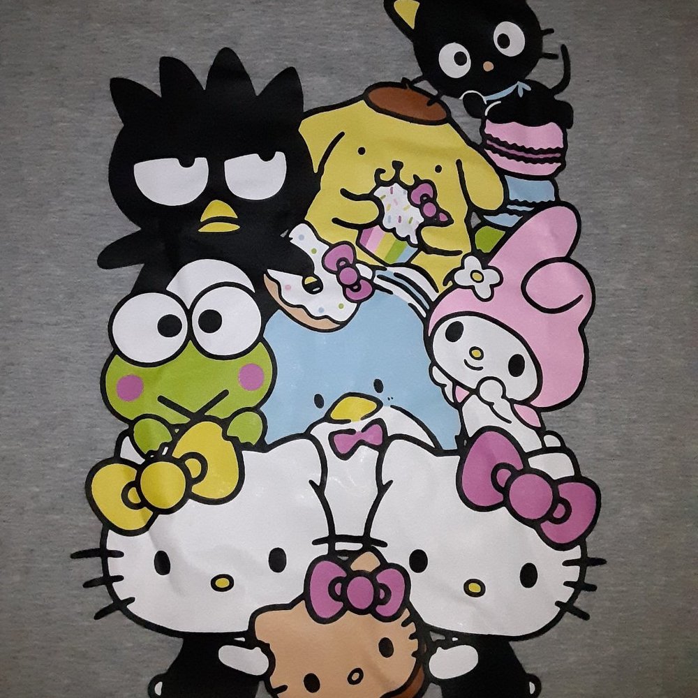 🐱 Sanrio Hello Kitty cafe graphic top